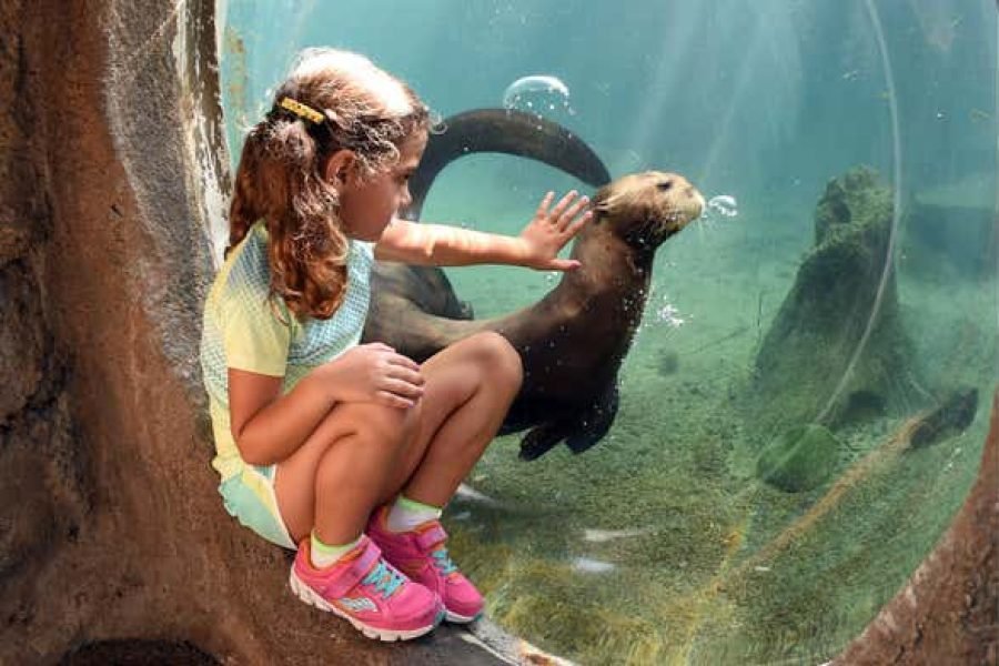 Ingresso do Zoo Miami