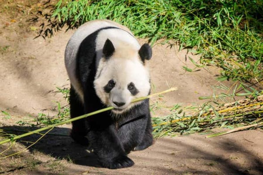 Ingresso do Zoo Aquarium